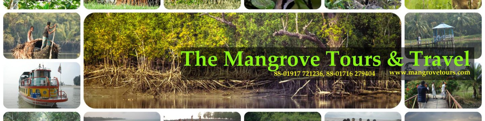 Cover image of The Mangrove Tours & Travel