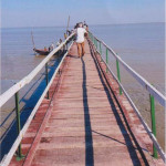 Spot images of Kochikhali