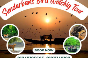 Cover image of Sundarbans Bird Watching Tour