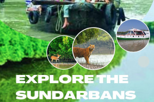 Cover image of Explore The Sundarbans