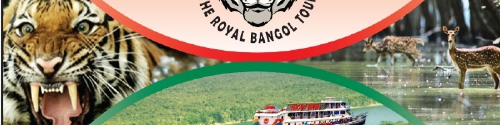 Cover image of The Royel Bengal Tour