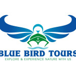 Logo of BLUE BIRD TOURS