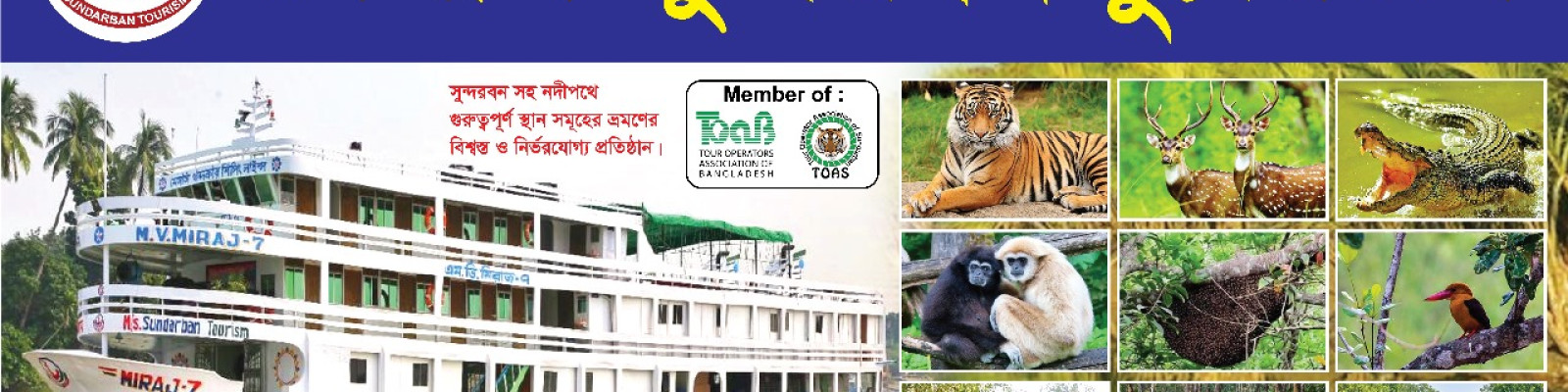 Cover image of M/S Sundarban Tourism