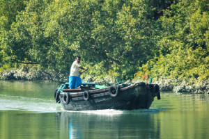 Cover image of MV Silver Cruise (Trawer)