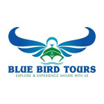 Logo of BLUE BIRD TOURS