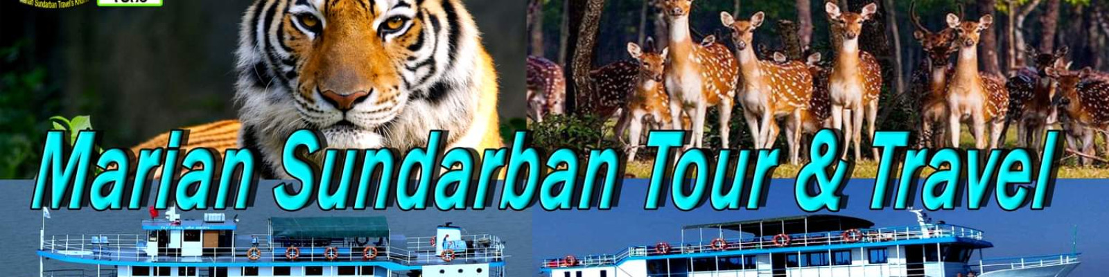 Cover image of Marian Sundarban Tour & Travel