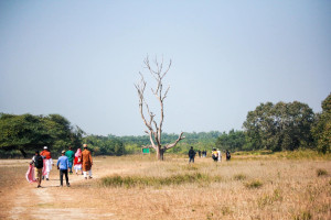 Cover image of শীতের প্রথম প্রহরে গহীন সুন্দরবনে।