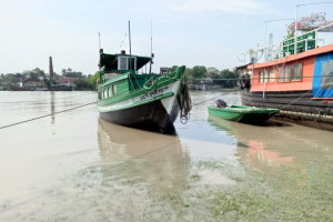 Cover image of MB Sondori Lota