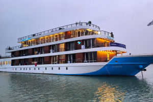 Cover image of Sundarban Tour  Package Khulna Sundarban Khulna - 01921138923