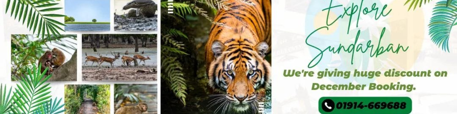 Cover image of Sundarban Express Tourism