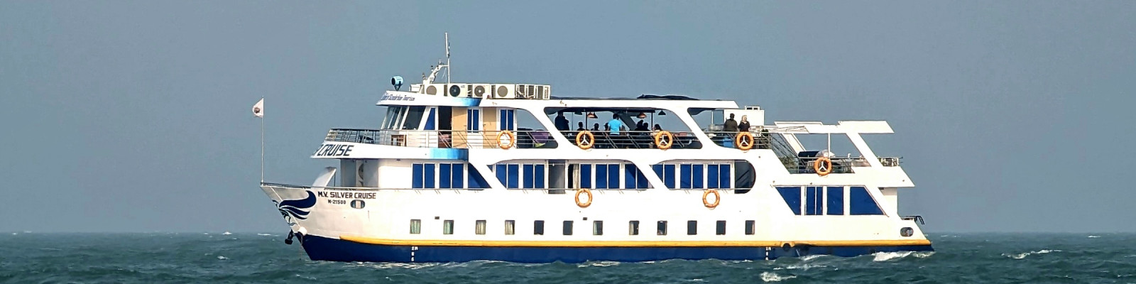 Cover image of BLUE BIRD TOURS