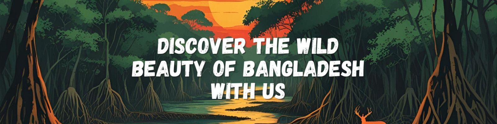 Cover image of Finfoot Network