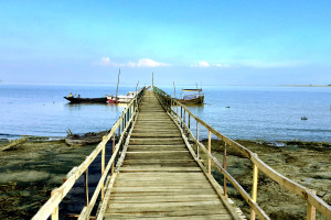 Cover image of 🌿🦌 সুন্দরবন—প্রকৃতির এক জীবন্ত বিস্ময়