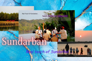 Cover image of Sundarbans Tour 03 Days 02 Nights – Lowest Price..
