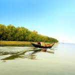 Cover image of 🌿🦌 সুন্দরবন—প্রকৃতির এক জীবন্ত বিস্ময়