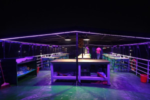 Cover image of Tour Package Sundarban Hot Line- +8801764504065 +8801921138923 Khulna Sundarban Khulna 2 Night - 3 Days...