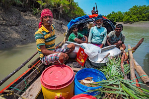 Cover image of 🐝🌿 Honey Collecting Adventure Tour – Sundarbans 🌿🐝