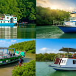 Cover image of 📸🌿 Wildlife Photography Opportunity – Sundarbans 🌿📸