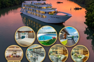Cover image of # 🌿🚢 Explore the Sundarbans in Ultimate Comfort with The Wave 2 🚢🌿