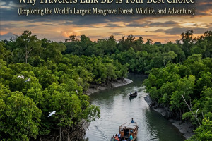 Cover image of 🛶 Karamjal: The Living Classroom of the Mangroves