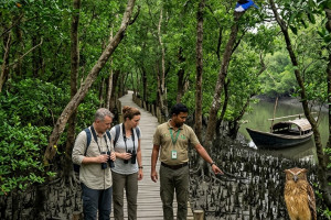 Cover image of 🐅 Harbaria: Walking the Tiger’s Playground