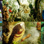 Cover image of 🐝🌿 Honey Collecting Adventure Tour – Sundarbans* 🌿🐝