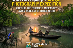 Cover image of Tracking the Masked Finfoot: The Ghost of the Mangroves 🛶✨✨