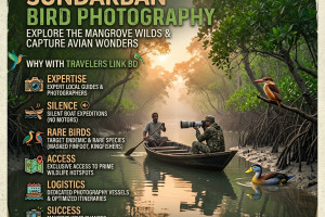 Cover image of King of the Canals – A Guide to Sundarban Kingfishers 🐦💎