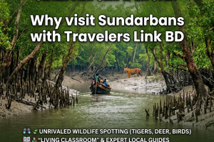 Cover image of The Lifeblood of the Mangroves: Rivers & Khals 🌊🛶, Part-01-🌿 Paikudi Khal: The Deep Forest Secret of the Sarankhola Range 🌊