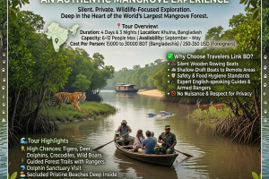 Cover image of 🌿 Sundarbans Wildlife Tour: An Authentic Mangrove Experience 🐅