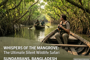 Cover image of 🛶 Whispers of the Mangrove: The Ultimate Silent Wildlife Safari
