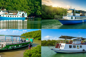 Cover image of Welcome To Visit the world largest mangrove forest Sundarbans. 📸🌿 Wildlife Photography Expedition – Sundarbans 🌿📸