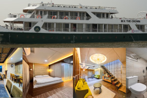 Cover image of Wild Sundarban tour. Hot line : 01764504065 ; 01921138923