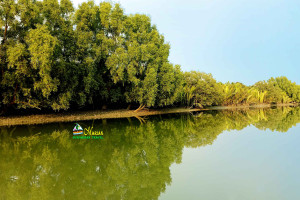 Cover image of 🐅🌿সুন্দরবনের বুকে দুবলার চড় : ইতিহাস, জীবন ও সংগ্রামের গল্প🐅🌿