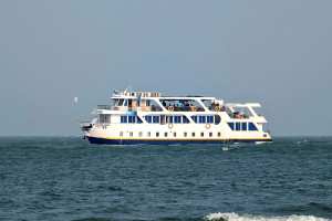 Cover image of Explore The Magical Mangrove Forest Sundarban ON nOVEMBER 2026
