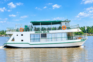 Cover image of M.B Green Delta