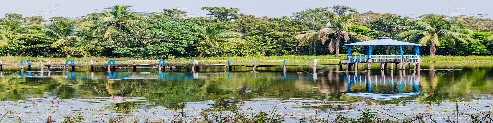mall pond in harbaria eco park in sundarbans bangladesh 1628590616 1629186679