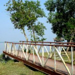 Karamjal Point Sundarbans 1628589497
