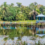 mall pond in harbaria eco park in sundarbans bangladesh 1628590616